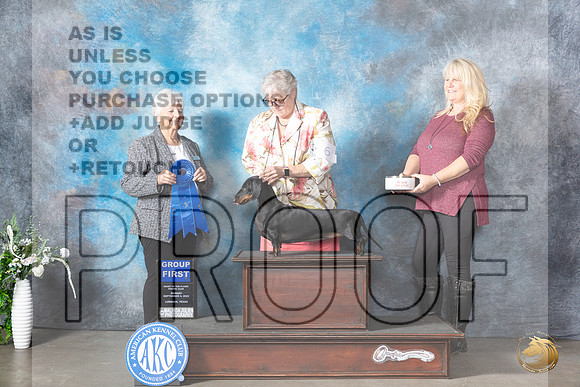 Dachshund Smooth #6 Mon G1 Judge Gloria Kerr_JP_2903_Lubbock2023_HR3