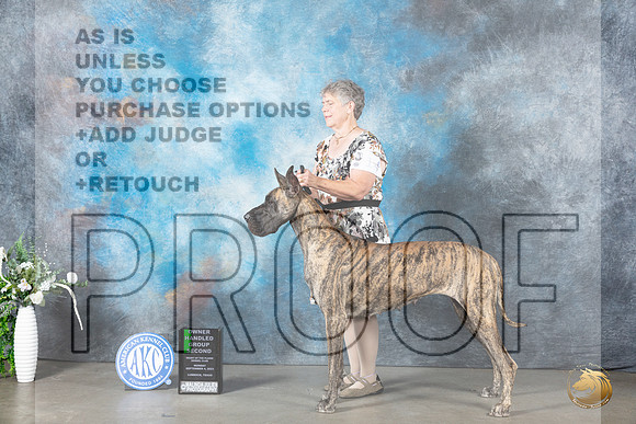Great Dane #14 Mon OHG2 Judge Eugene Blake_JP_3000_Lubbock2023_HR3