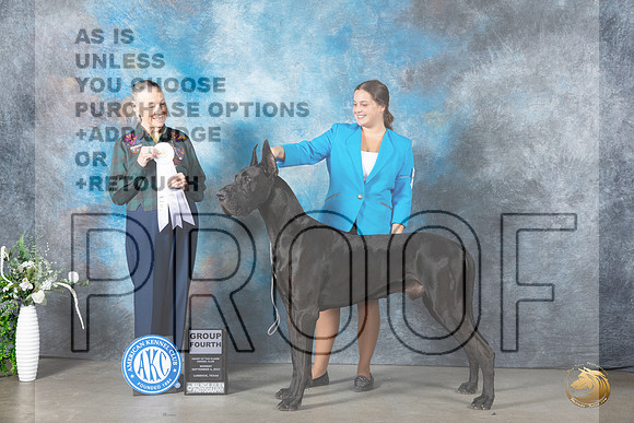 Great Dane #5 Mon G4 Judge Carolyn Herbel_JP_2976_Lubbock2023_HR3