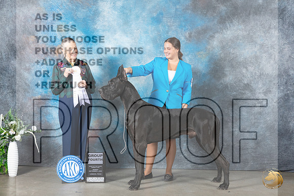 Great Dane #5 Mon G4 Judge Carolyn Herbel_JP_2978_Lubbock2023_HR3