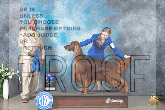 Irish Setter #5 Mon G1 Judge Eugene Blake_JP_2844_Lubbock2023_HR3