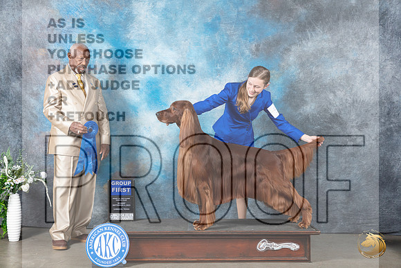 Irish Setter #5 Mon G1 Judge Eugene Blake_JP_2845_Lubbock2023_HR3