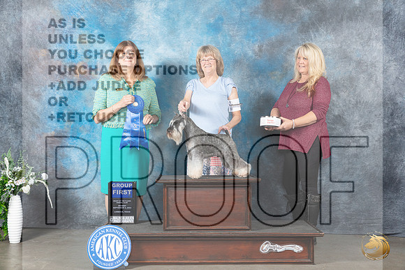 Miniature Schnauzer #5 Mon G1 Judge Anne Barlow_JP_2935_Lubbock2023_HR3