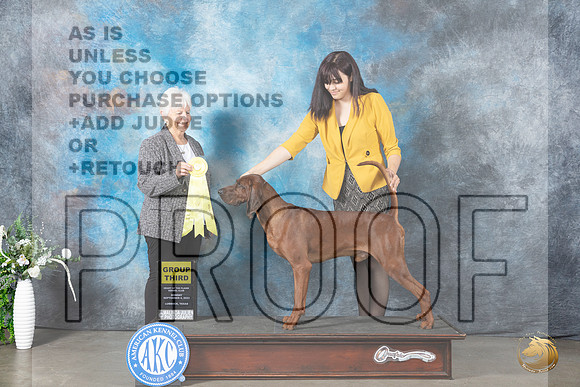Redbone Coonhound #5 Mon G3 Judge Gloria Kerr_JP_2948_Lubbock2023_HR3