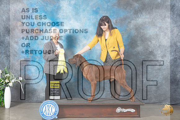 Redbone Coonhound #5 Mon G3 Judge Gloria Kerr_JP_2949_Lubbock2023_HR3