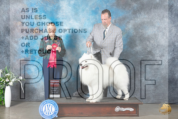 Samoyed #5 Mon G2 Judge Carolyn Herbel_JP_2961_Lubbock2023_HR3