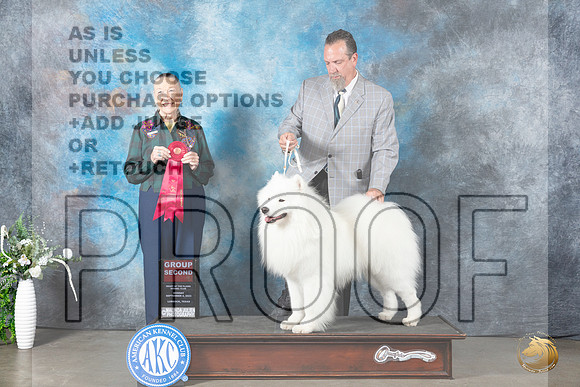 Samoyed #5 Mon G2 Judge Carolyn Herbel_JP_2962_Lubbock2023_HR3