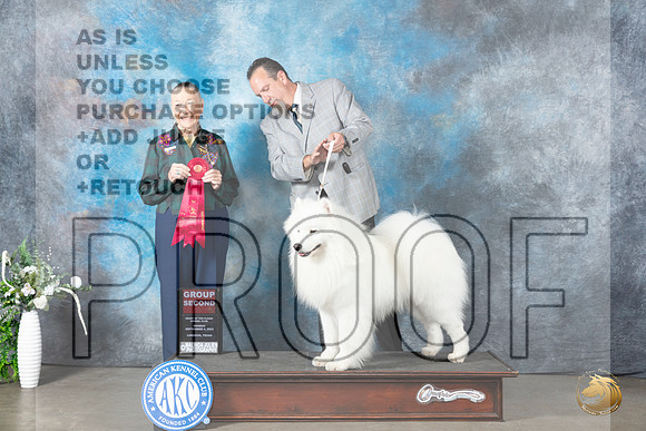 Samoyed #5 Mon G2 Judge Carolyn Herbel_JP_2965_Lubbock2023_HR3