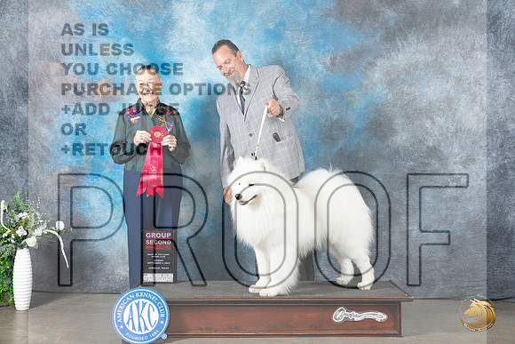 Samoyed #5 Mon G2 Judge Carolyn Herbel_JP_2966_Lubbock2023_HR3