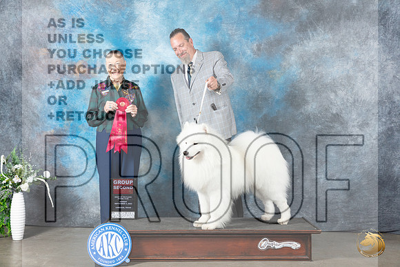 Samoyed #5 Mon G2 Judge Carolyn Herbel_JP_2967_Lubbock2023_HR3