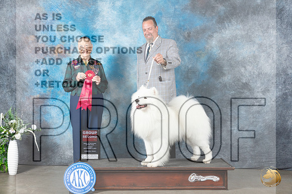 Samoyed #5 Mon G2 Judge Carolyn Herbel_JP_2968_Lubbock2023_HR3