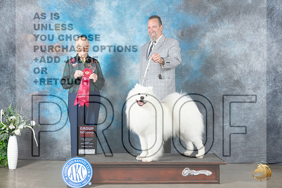 Samoyed #5 Mon G2 Judge Carolyn Herbel_JP_2969_Lubbock2023_HR3