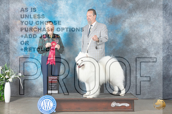Samoyed #5 Mon G2 Judge Carolyn Herbel_JP_2974_Lubbock2023_HR3
