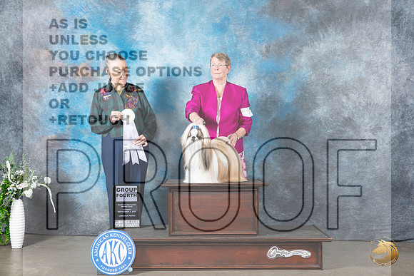 Shih Tzu #5 Mon G4 Judge Carolyn Herbel_JP_2873_Lubbock2023_HR3
