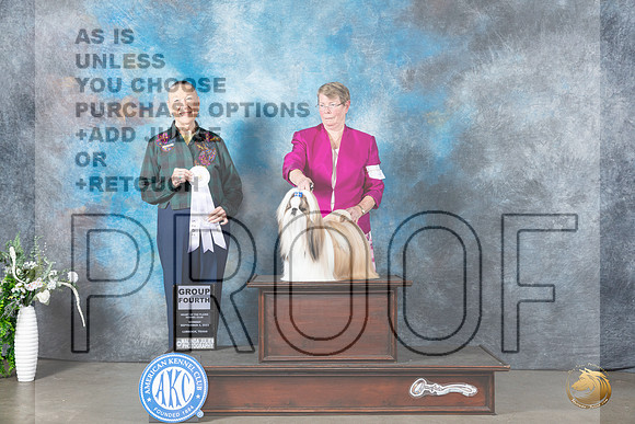 Shih Tzu #5 Mon G4 Judge Carolyn Herbel_JP_2875_Lubbock2023_HR3