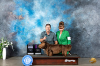 Sussex Spaniel #5 Mon OHG1 Hurr G4 Blake