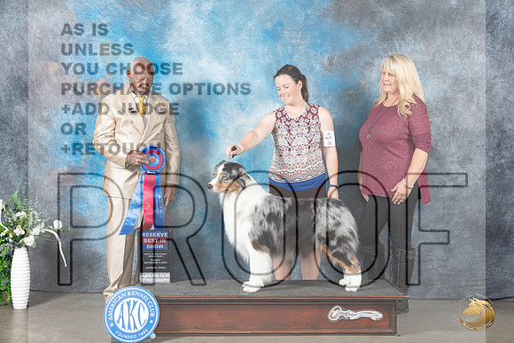 Australian Shepherd #27 Mon RBIS Judge Eugene Blake_JP_3058_Lubbock2023_HR3