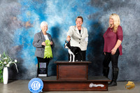 Boston Terrier #7 Mon OHRBIS Judge Gloria Kerr