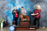 Cavalie King Charles Spaniel #5 Mon G2 Judge Carolyn Herbel