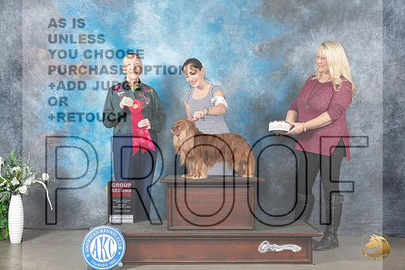 Cavalie King Charles Spaniel #5 Mon G2 Judge Carolyn Herbel_JP_3080_Lubbock2023_HR3