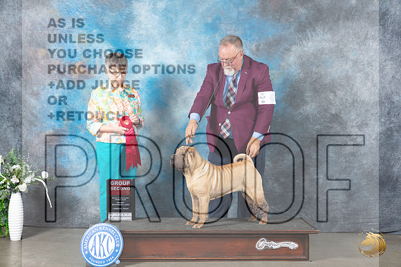 Chinese Shar Pei #6 Mon G2 Judge Donna Buxton_JP_3015_Lubbock2023_HR3