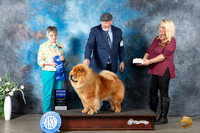 Chow #5 Mon G1 Judge Donna Buxton