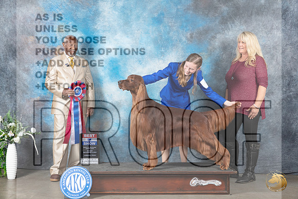 Irish Setter #5 Mon BIS Judge Eugene Blake_JP_3061_Lubbock2023_HR3