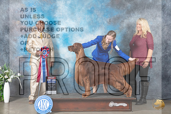 Irish Setter #5 Mon BIS Judge Eugene Blake_JP_3062_Lubbock2023_HR3