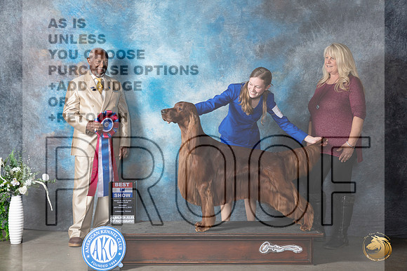 Irish Setter #5 Mon BIS Judge Eugene Blake_JP_3066_Lubbock2023_HR3