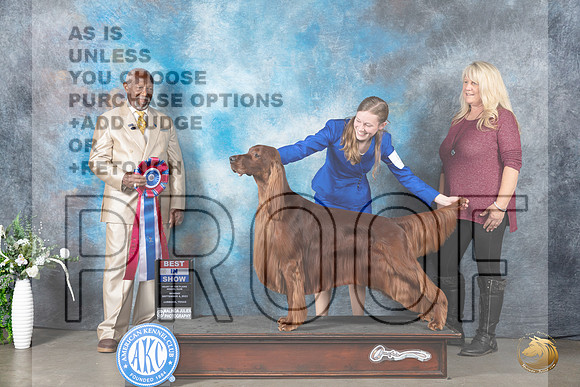 Irish Setter #5 Mon BIS Judge Eugene Blake_JP_3065_Lubbock2023_HR3