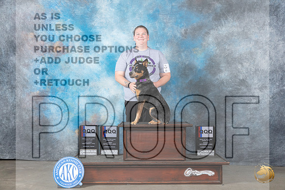 Australian Cattle Dog #18 Mon QQQX3_JP_3136_Lubbock2023_HR3