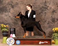 Dobe15SnOG4Hurle