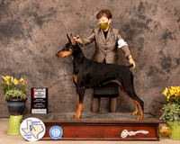 Dobe9SnBSPSmith