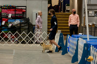 Pug7SGrp