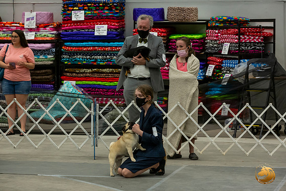 Pug7SGrpJJL_6655_Abilene2021