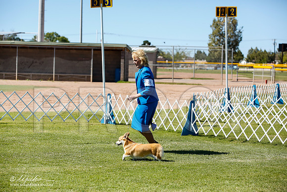 _JN_9174-AlamogordoOct2014-HR3