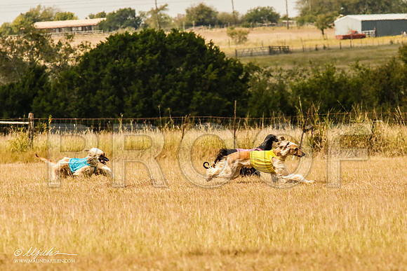 _MJ_5338-AfgBeltonOct2014-HR3