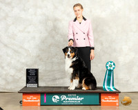 Australian Shepherd #970 Thur Rally1 Judge Kim Thomson