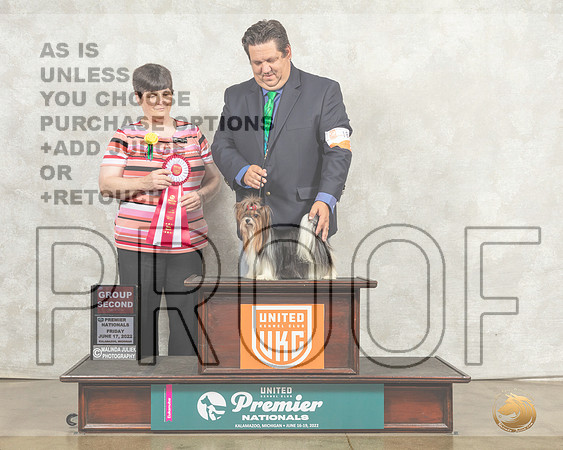 Biewer Terrier #182 Fri G2 Judge Linda Reece__MJ_7963_Premier_2022_HR3
