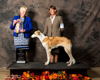 Silken Windhound Sat S1 Donna Murphy