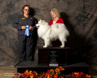 American Eskimo Sat S1 BOW Susan De La Paz