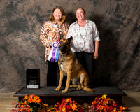 Belgian Malinois Sat S1 Jackie Stephenson Rally OB Ch reshoot