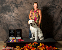 Labrador Retriever Sat S2 BOB Rally 2 Cricket Dietert