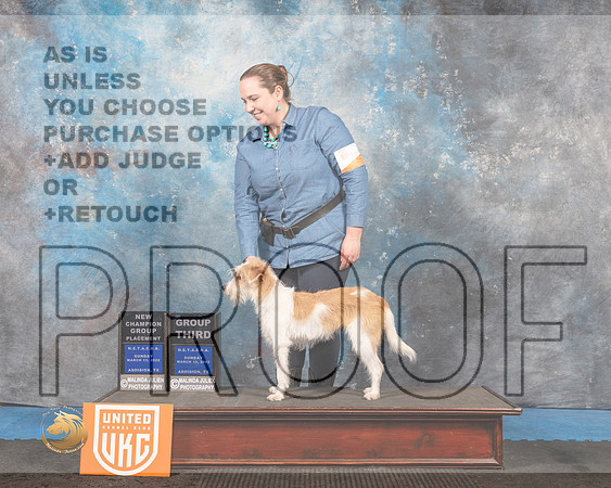 Kromfohrlander #277 Sun G2 Judge Pam Moore_MMJ_6762_Addison2022_HR3