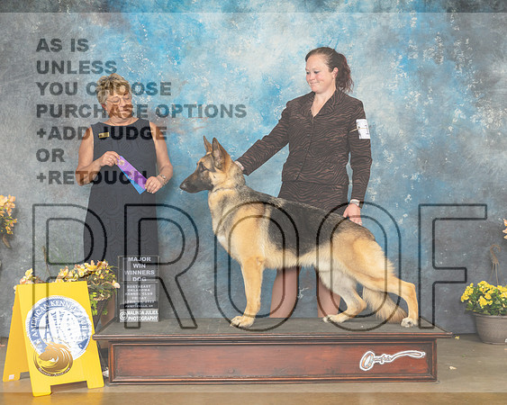 German Shepherd Dog #9 Fri WD Judge Cathy Daugherty-MMJ_9559-NWARK2022-HR3