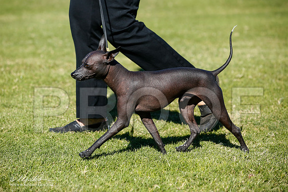 _JJ_6920-AlamogordoOct2014-HR3