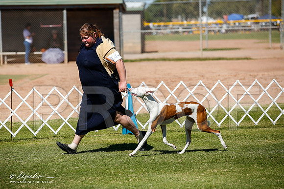 _JJ_7658-AlamogordoOct2014-HR3