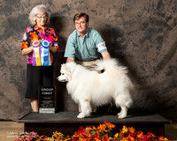 American Eskimo Sun S1 G1 Shane Groves