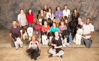 Poodles and Oodles