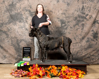 Cane Corso Sat S1 Ron Ackerman